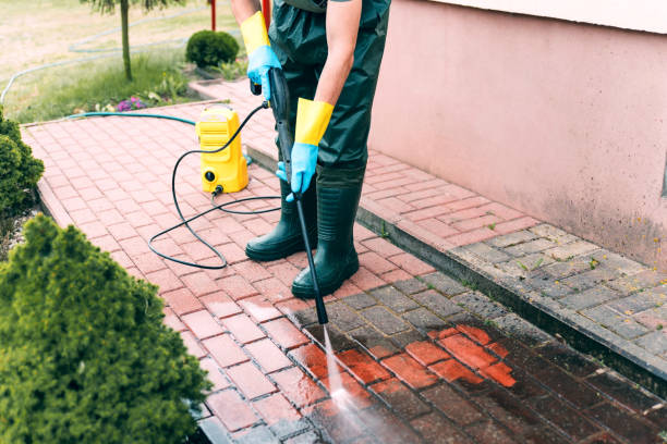 Best Pressure Washing Driveway  in Champaign, IL