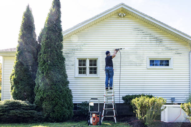 Best Deck Cleaning Services  in Champaign, IL